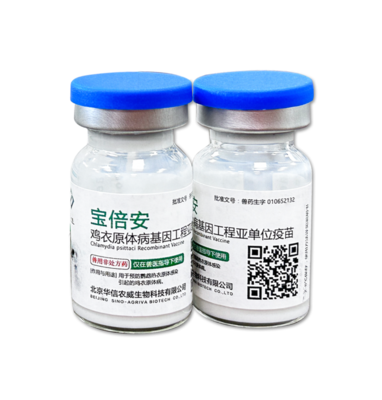 生物制品 守护健康的生命密码与现代医学的创新基石