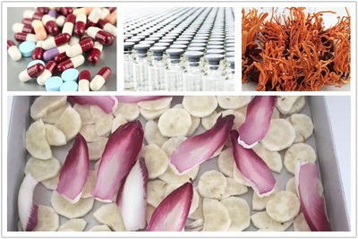 冻干技术在现代生产中的应用与前景