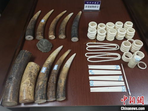 水口海关向林业局移交走私动物制品，加强生物资源保护执法合作